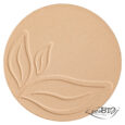 compact foundation 01