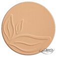 compact powder 04